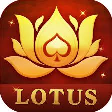 oneto11 fantasy cricket rummy download